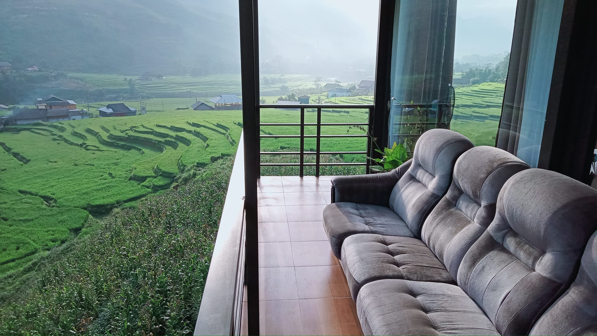 Amica House - Ảnh 5