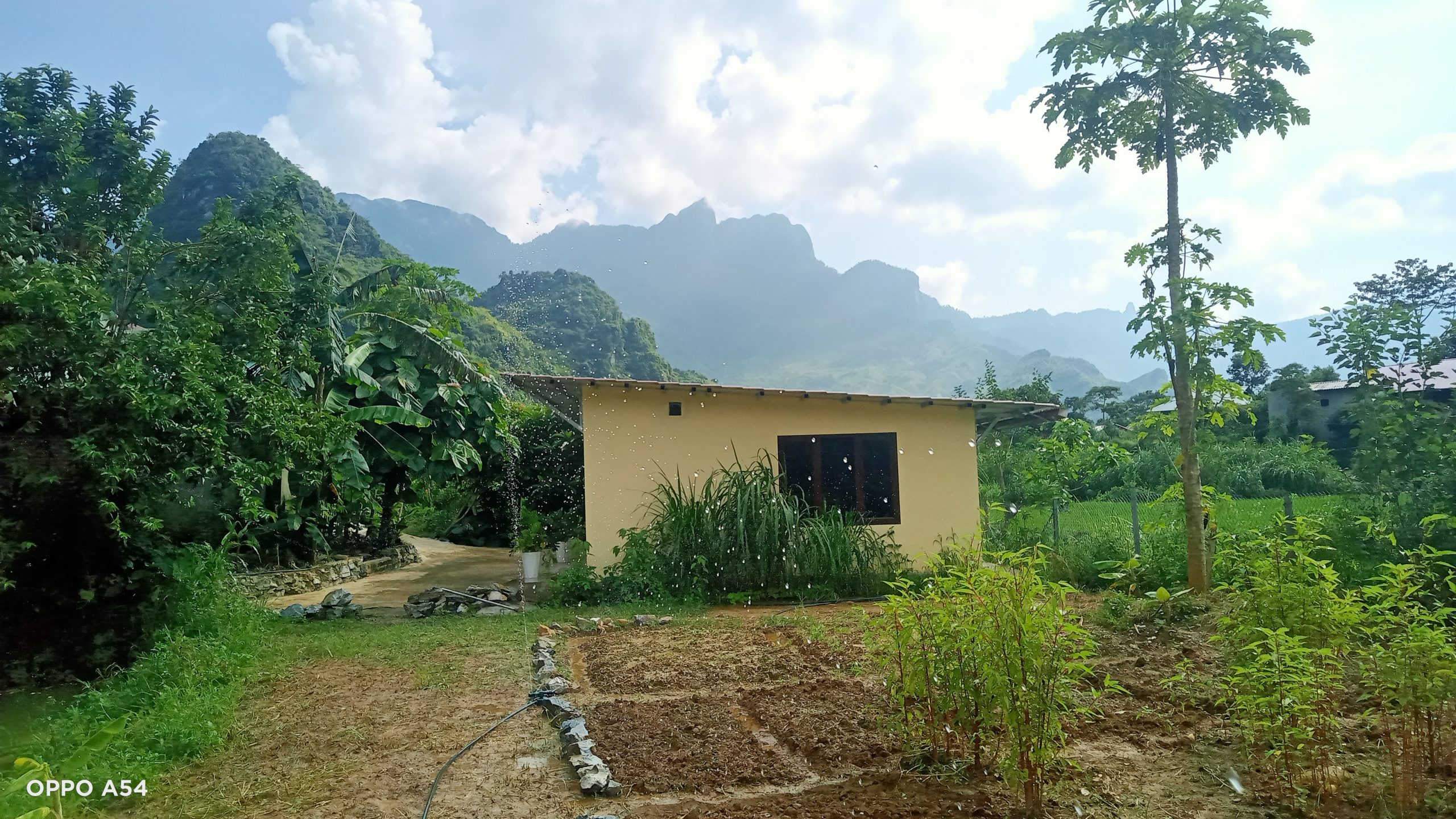Welcome to Amica Du Gia Trekking Homestay - The Little Sister of Amica House Sapa